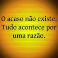 /album/galeria-de-fotos/acaso-jpg/